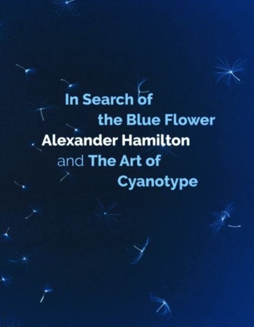 In Search of the Blue Flower by Alexander  Hamilton (Hardback Book)