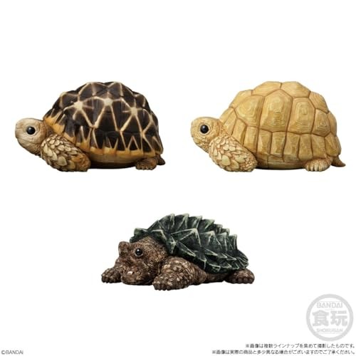 BANDAI Tenori Friends 12 Reptiles and Amphibians x12P in Box Mini