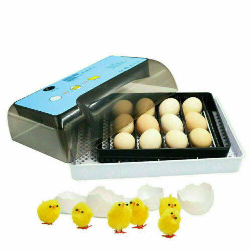 Rupfwachs 706, 15 Kg – Lebensmittelecht, Für Geflügel Wie Enten & Gänse