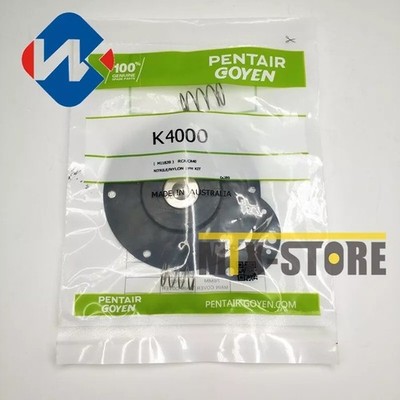 1PCS new Goyen Pilot Solenoid Valve Kit K4000 *hu