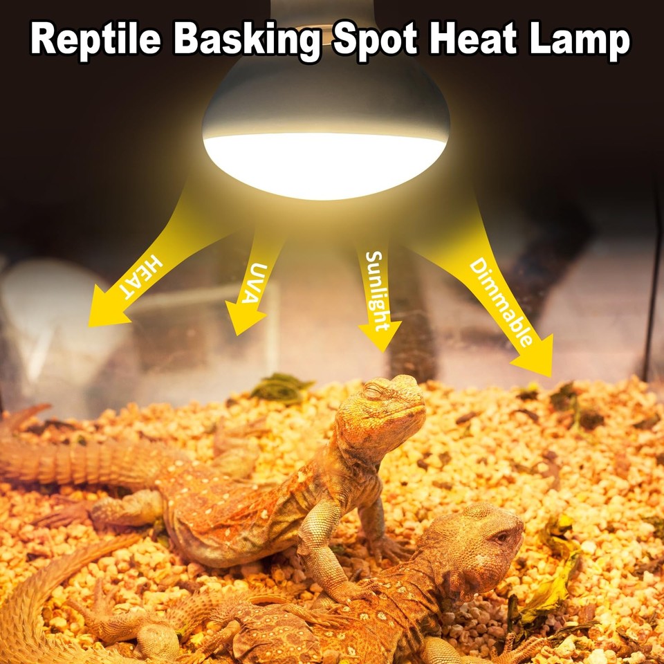 Curated visual reference: Fresh Look at 150W Reptile Heat Lamp Bulbs 2Pack Heat Lamp Bulbs For