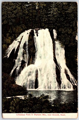 EVERETT WASHINGTON WA LILLAWAUP FALLS POSTCARD unposted