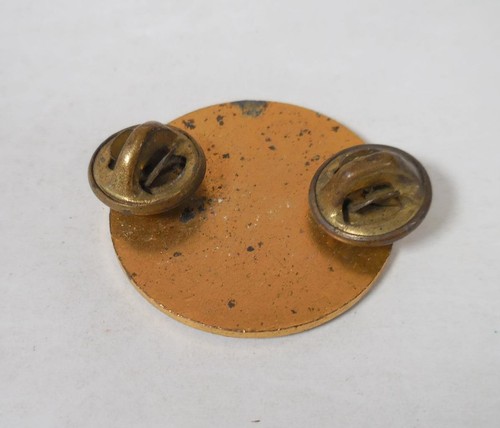 Servicio Geodesico Interamericano Vintage Round Lapel Pin - Picture 5 of 5