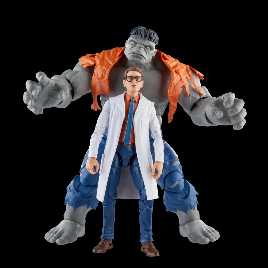 Marvel Legends - Avengers - Double-pack GRAY HULK & DR. BRUCE BANNER - HASBRO - Photo 2/4
