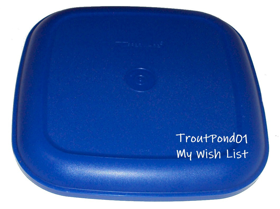 Tupperware Plates 8 Inch Square Set of 4 Vintage Lacquer Blue Made in