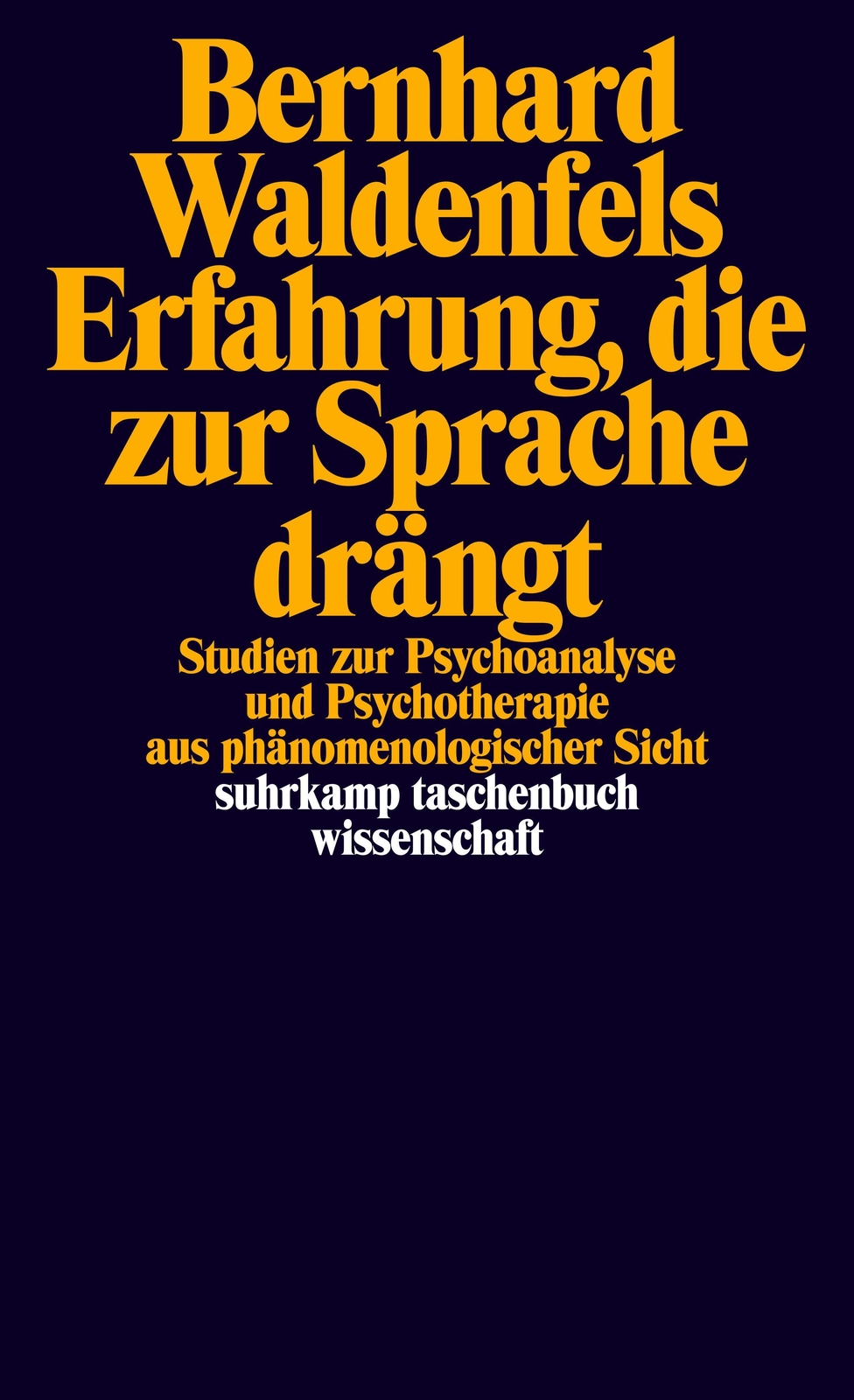 Thumbnail - Erfahrung, Die Zur Sprache Drängt Bernhard Waldenfels
