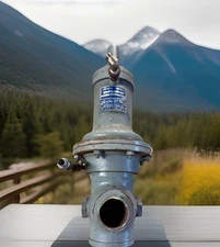 Sensus 57S Propane Gas Pressure Regulator Valve 3-100 PSI Size 2 Case 6”