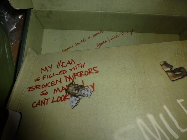 Lady Gaga HARLEQUIN  Promo Deluxe Box Set Red Vinyl LP with (L) Shirt, box etc. - Image 4 of 4