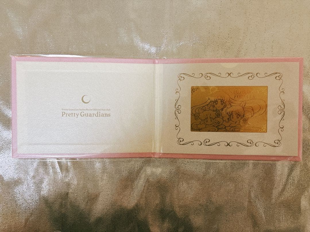 Sailor Moon Pretty Guardian Fan Club Bonus Item 1997 Nakayoshi Membership Card