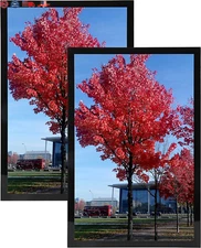 9X12 Picture Frame Black Set of 2 Pack 9X12 Inch Black Picture Frame Display Pic