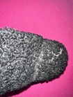 Bild 5 von 6