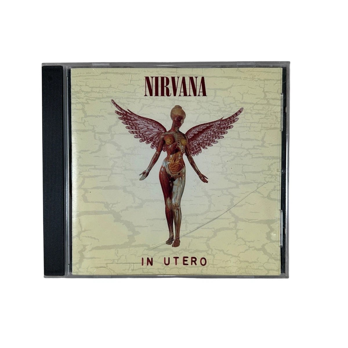 Las mejores ofertas en Nirvana in utero | eBay
