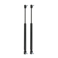 GasdruckdäMpfer HeckklappendäMpfer DäMpfer FüR Ford Escort V Vi Vii 1990-2000 2X