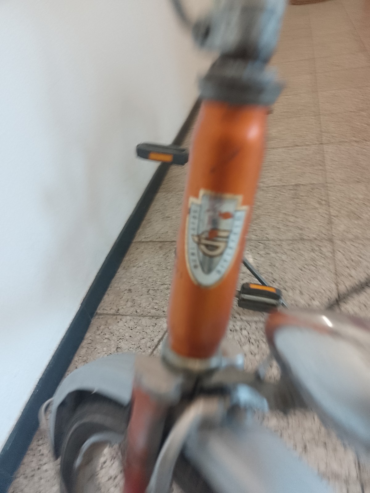 Bild 5 von 5