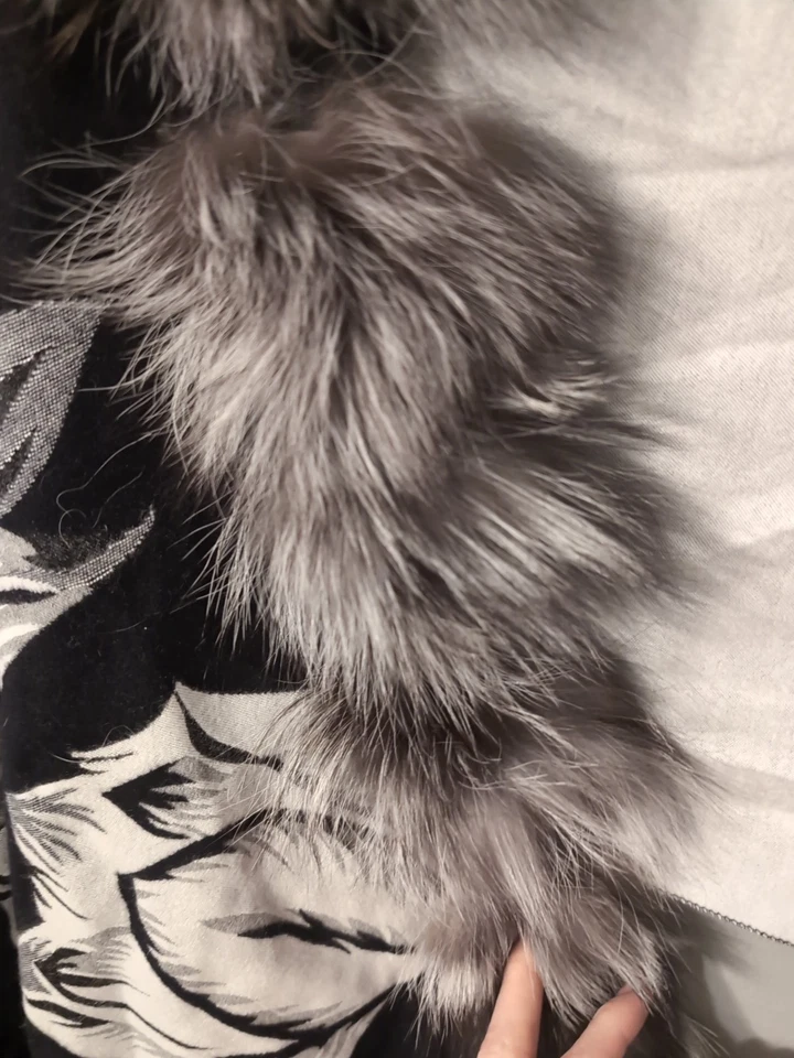 NUEVO CON ETIQUETAS BELLE FARE Genuino Piel de Zorro Borde LANA/CACHEMIRA CHAL CAPA ENVOLTURA BUFANDA Foto 4 de 4