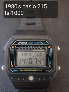 casio 215