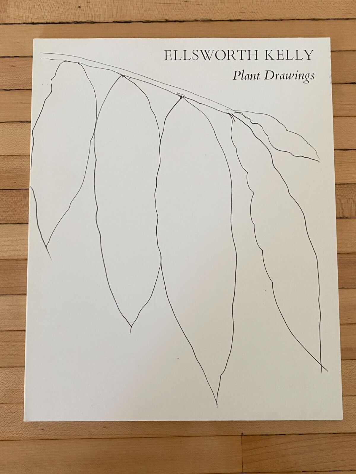 Ellsworth Kelly Plant Drawings