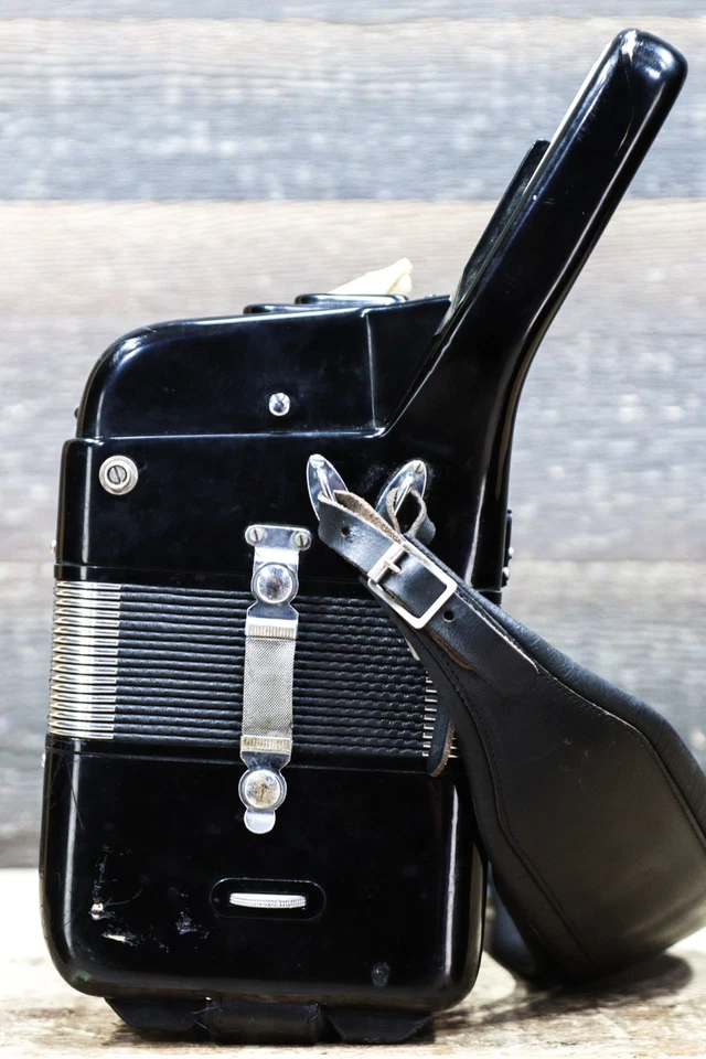 Titano Accordion 120-Bass 41-Key 5-Treble Switch Small Piano Accordion w/Case - Image 4 of 4