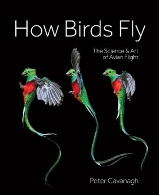 Peter Cavanagh How Birds Fly (Gebundene Ausgabe)