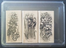 Stampin' Up Early Spring Rubber Stamps Tulips Lilies Garden Flowers Floral