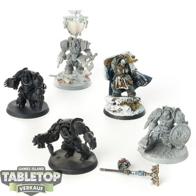 Space Wolves - 5x Wolf Guard Terminators klassisch - teilweise bemalt