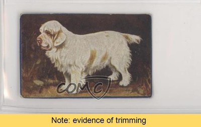 1924 Pascall Dogs Clumber Spaniel #3 READ 0f3