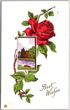 Best Wishes Red Rose Flower River Landscape Greetings Postcard