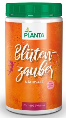 Blütenzauber von Planta