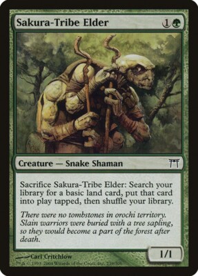 FOIL Sakura-Tribe Elder engl. mint Champions of Kamigawa