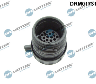 Dr.Motor Automotive DRM01731 Plug Case, Automatic Transmission Control Unit for A