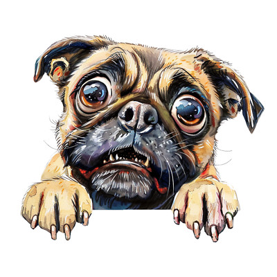Autoaufkleber 18X18 cm | spähender Hund | Wetterfest | Hochwertige Folie