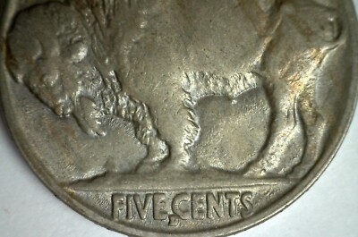 1916 D Buffalo Indian Head Nickel 5c US Coin Extra Fine Circulated