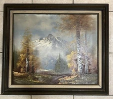 Vtg Oil Painting 23,6"x19,6"-(without Frame) Canvas Snow  Mountain Sign Annon