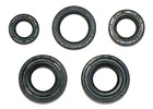 Kawasaki AR50 AR80 AE50 AE80 engine oil seal set (81-94 various) new, from stock