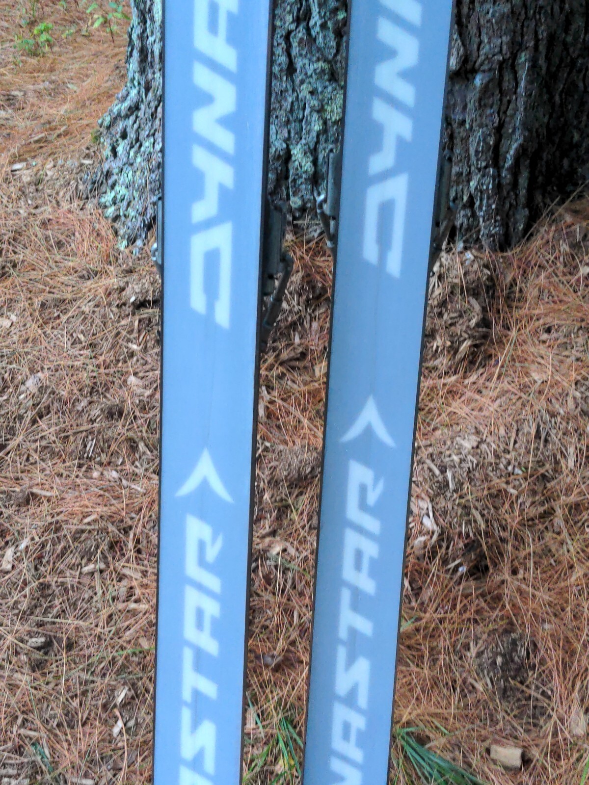 Dynastar Omega Skis W/ LOOK 57 Bindings RARE VTG 70 inches (177.8 cm