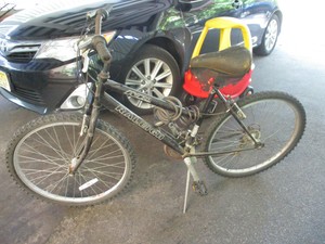 raleigh m20 mountain trail