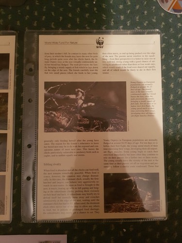World Wildlife Fund WWF Editorial Stamps & FDC Discounts 20% 4+ items 95 listed - Picture 48 of 634