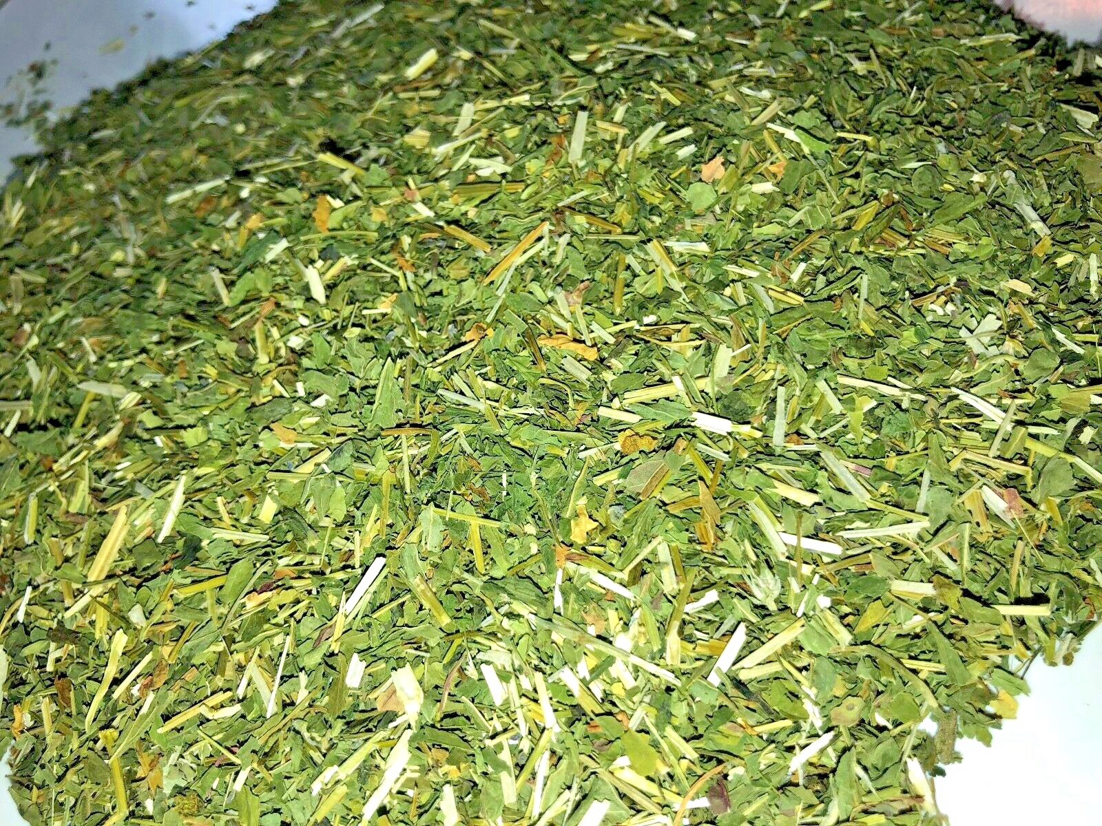 Quality Mad Dog Weed Blue Skullcap Leaf (Certified Organic) eBay