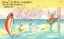 Vintage Postcard Boy! Is This Something To Write Home About? Comic Fishing