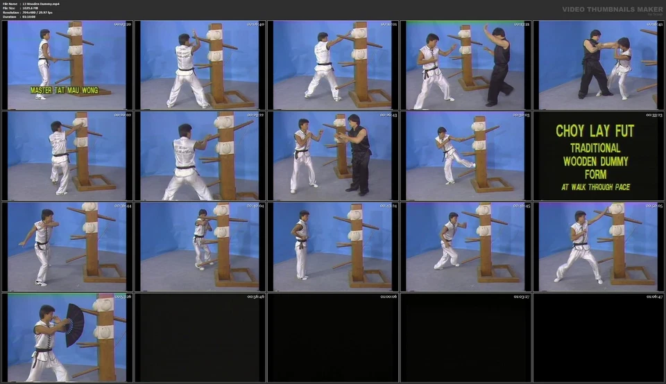 Choy Lay Fut Kung Fu and Chinese Lion Dancing starring Tat Mau Wong (19 DVD Set) Foto 2 de 4