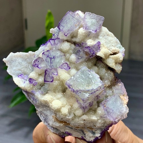 225G Natural Púrpura "Código QR" Racimo de Fluorita Cristal Mineral Espécimen/Guizhou - Imagen 6 de 23