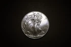 1 oz 0.999 Fine Silver American Eagle Coin 2011 BU Uncirculated #SAE14