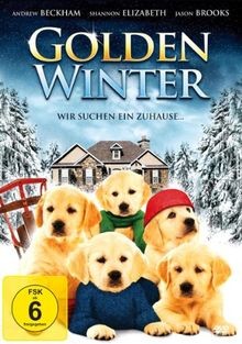 Golden Winter - Wir suchen ein Zuhause ... von Sam M... | DVD | Zustand sehr gut