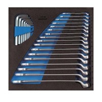 Gedore Werkzeugmodul 1500 CT2-1 B 25-Tlg.2/3-Modul Ringmaul-/StiftschlüSsel