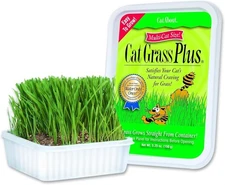 Cat Grass Kit For Indoor Cats, 5.25 Ounce, Hairball Control