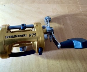 Penn International Rod | eBay