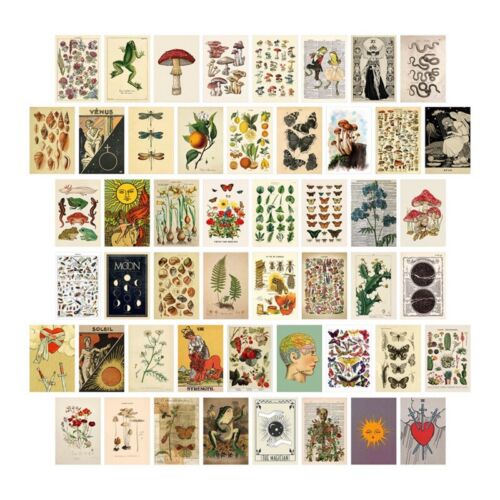 2X(50Pcs Vintage Botanical Tarot Aesthetic Wall Collage Kit  & Fauna8774 - Imagen 1 de 10