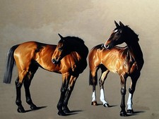 Two horses G. ARA Accent Tile Mural Bathroom Wall Backsplash Art Marble Ceramic