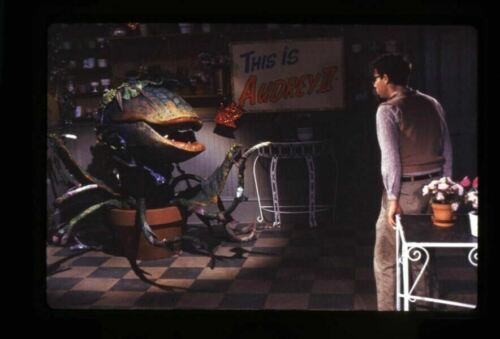 Little Shop of Horrors Rick Moranis Monster Plant Trasparenza Originale 35 mm  - Foto 1 di 1