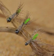 6 Flies - Tungsten Peeping Caddis Jig Head Fly - Euro nymph Fishing- Hanak